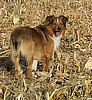 At 1 year old